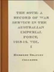 The 28th: A Record of War Service in the Australian Imperial Force