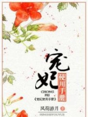 Chongfei Manual Alternative : Pampered Concubine's Manual; 宠妃使用手册