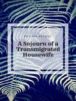 A Sojourn Of A Transmigrated Housewife