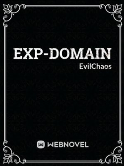 Exp-Domain