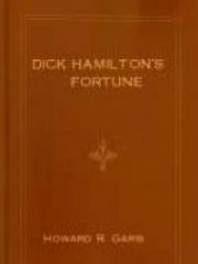 Dick Hamilton's Fortune