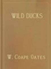 Wild Ducks